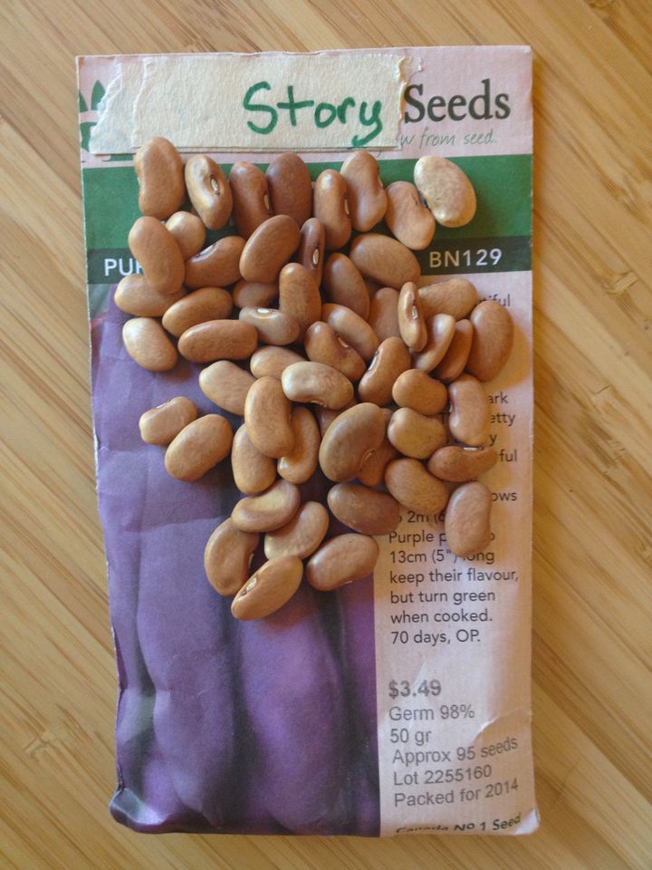 Story seeds: magic beans for instant engagement